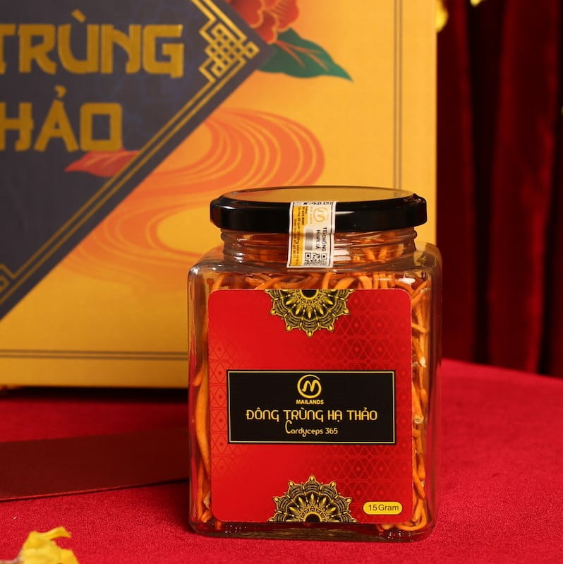 Đông trùng hạ thảo khô cordyceps 365 trong hộp quà tết